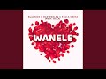 Wanele (feat. DSax)