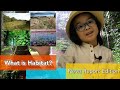 Science Week: What is a Habitat?