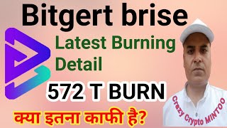 Bitgert Latest Burning Details || क्या इतना Burning काफी है? || Crazy crypto MINTOO