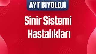 Sinir Sistemi Hastalıkları