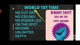 Rebornx binary shift income details