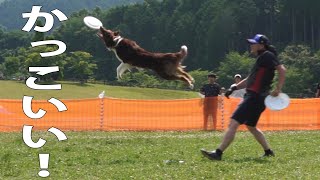 犬も人も超絶カッコいい！良い練習会があるんだって！【フレンズ練習会ep.3-3】DOG SPORTS FRIENDS