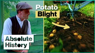 The Edwardian Farm Faces A Potato Blight | Edwardian Farm EP11 | Absolute History