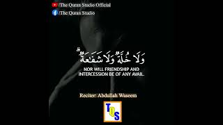 Quran recitation whatsapp status surah Al-Baqarah | #viral | THE QURAN STUDIO #shorts