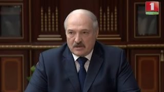 Александр Лукашенко заслушал доклад по вопросам реализации на экспорт круглых лесоматериалов