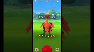 【ポケモンGO】ガラル三鳥チャレンジ　ガラルサンダー３度目の遭遇！またGETなるか？