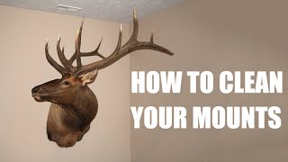Taxidermy Tip's - How To Clean And Maintain Your Mounts