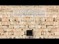 Dovi Porush