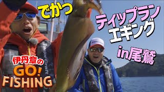 ティップランエギング＠三重・尾鷲｜大物○○イカ出現!?｜伊丹章のGO! FISHING