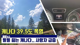 [캐남사이] 너무 더워서 운전만 8시간?? | Jasper National Park