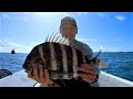 Shallow Water Sheepshead Fishing