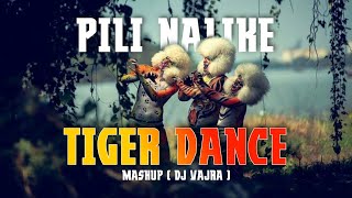 TIGER DANCE MASHUP PILI NALIKE DJ VAJRA @Djvajramangalore
