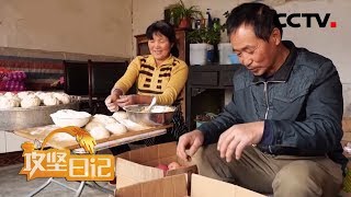 《攻坚日记》筑梦生寅村（二）：四亩苹果 雪中送炭 20200213 | CCTV农业