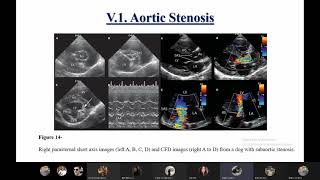 Essentials of Echocardiography in Small Animal Veterinary Medicine