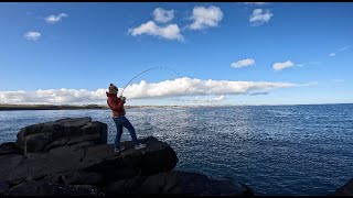 Back Amongst The FISH! | Dunstanburgh Castle | Northumberland | Winter Lure Fishing