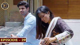 Woh Pagal Si Episode 29 - Top Pakistani Drama