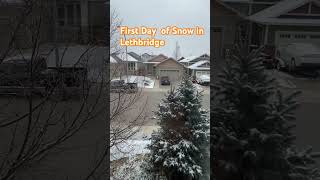 Heavy Snow for the next few Days!#canadalife #youtubeshorts #highlights #everyone #ohcanada