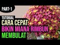 3 METODE MIANA CEPAT RIMBUN MEMBULAT | PART-1