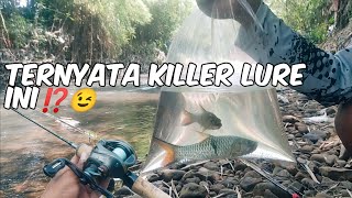 💥💥RECOMENDED, SALAH SATU LURE SWIMMER KILLER‼️😉😋