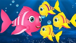 मछली जल की रानी है - Machli Jal ki Rani Hai Hindi Poem | Hindi Rhymes for Kids | Jo Jo Kids