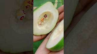 ସପନ ତୁ ମୋର ଜୀବନ ତୁ 🥺❤️ art on papaya seeds||#shorts #youtubeshorts @PunamsArt-Zone.