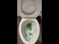 worlds strongest toilet flushing green glitter in the toilet shorts