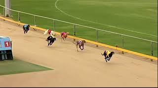 Gawler-29052018-Race-1