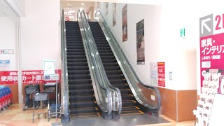 しまむらホームセンター 幕張エスカレーター2F-1F フジテック　Shimamura Home center Makuhari Escalator FUJITEC