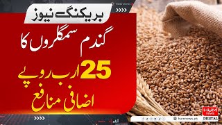 25 Billion Additional Profit Of Wheat Smugglers | Hum Investigation