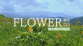 [4K] FLOWER通信 Vol.2 水無月「白山高山植物園」