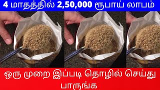 4 மாதத்தில் 2,50,000 ரூபாய் லாபம் ​| ஒரு முறை இப்படி தொழில் செய்து பாருங்க Small Business Idea Tamil