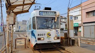 函館市電8000形5系統湯の川行き同停留場到着 Hakodate City Tram Class 8000 Route 5 for Yunokawa arriving at the same Stop