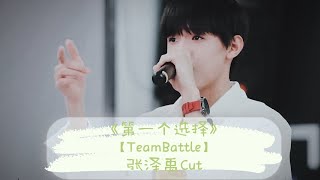 【张泽禹Zhangzeyu 】【TF家族】系列演唱会——“蝴蝶效应” 之《第一个选择》【TeamBattle】张泽禹CUT《Ring Ring Ring》+《生生》