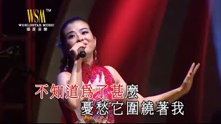 楊曼莉 - 千言萬語 (謝雷情繫東方之珠演唱會)