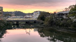 鹿児島市お散歩動画｜1月22日 稲荷川夕景 石橋記念公園の橋の上より Shot on iPhone12 Pro Max