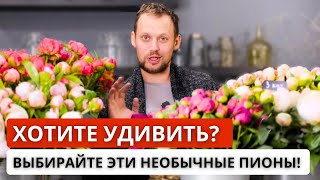 🌺КАКИЕ ПИОНЫ ВЫБРАТЬ? Разбор сортов пионов: стойкость, аромат, цвет, пионы хамелеоны.