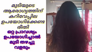 മുടി തഴച്ചു വളരുന്നതിന് | മുടിക്ക് നല്ല കറുപ്പ് കിട്ടാൻ | അകാല നര മാറാൻ | കറിവേപ്പില ഉപയോഗിക്കാം