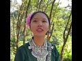 旅游在 西双版纳的 女儿国 在一处小树林里 遇到了这位美丽又漂亮的小姑娘  #农村生活 #记录真实生活#真实生活2024 #西助农行 #农村生活