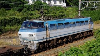 JR貨物 2014/09/13 EF66-109[吹]号機＋コキ24B 貨物列車5071レ 東海道本線