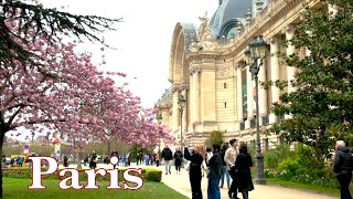 Paris France - HDR walking tour in Paris, 4K HDR - Paris Spring 2024 - Champs Élysées