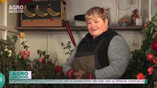 Cât de profitabile sunt afacerile cu flori? – AGRO TV News