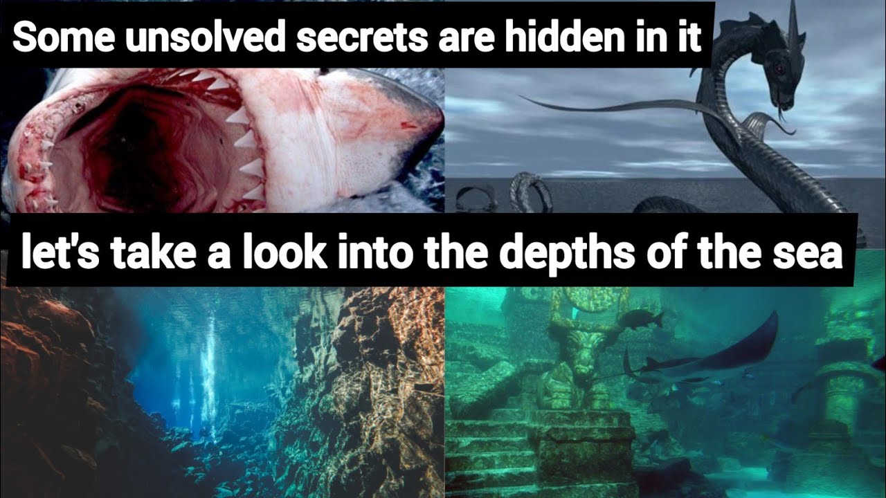 5 Unsolved Mysteries Of Deep Ocean | Mysteries| In The Depths Of Sea ...