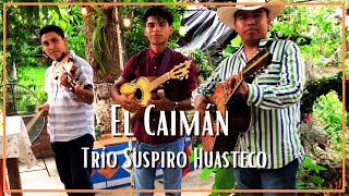 Trío Suspiro Huasteco - El Caimán