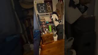 3301 Grove Avenue Apt. 06 Richmond, VA 23221