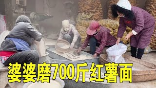 家里磨700斤红薯面，婆婆要给小姑子，小丽却坚决不同意【姑嫂一家亲】