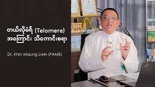 တယ်လိုမဲရ် (Telomere) အကြောင်း သိကောင်းစရာ