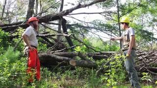 A Landowner's Introduction to BMPs