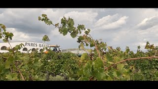 Parés Baltà Winery