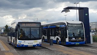 PKM Gdynia - linia 119 | MAN NL313 Lion's City #2060