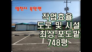 (영천착한부동산)NO.958/도로.시설.작업환경 최상의 포도밭 748평